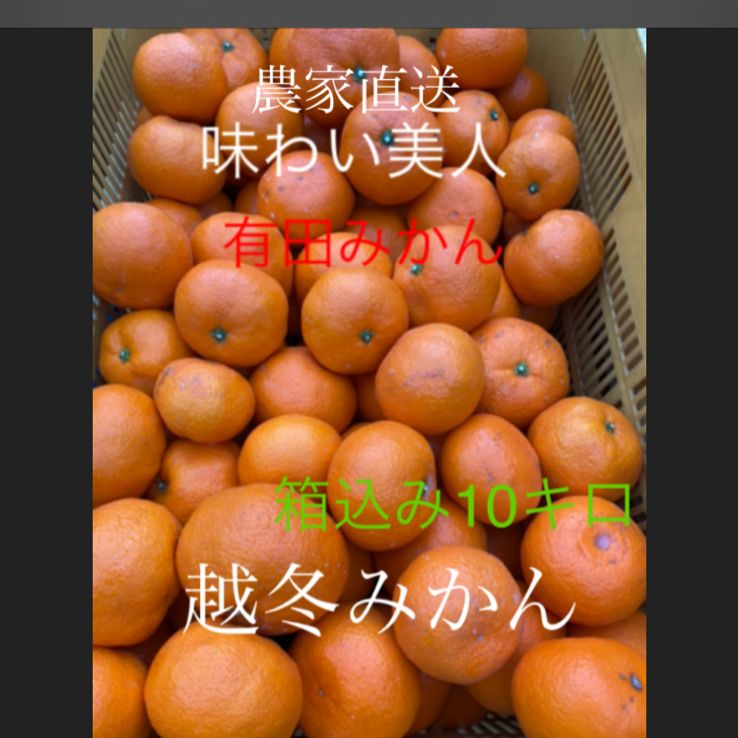 専用有田みかん農家直送味わい美人 有田みかん『賢』産 農家直送⭐️ブランド味わい美人越冬みかん