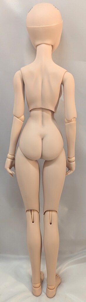 ボークス DD