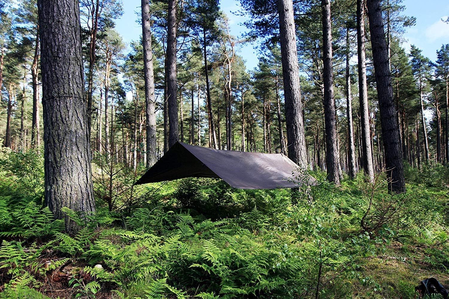 DD Tarp