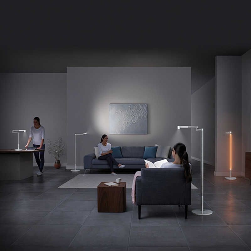 Ｄｙｓｏｎ Ｌｉｇｈｔｃｙｃｌｅ
