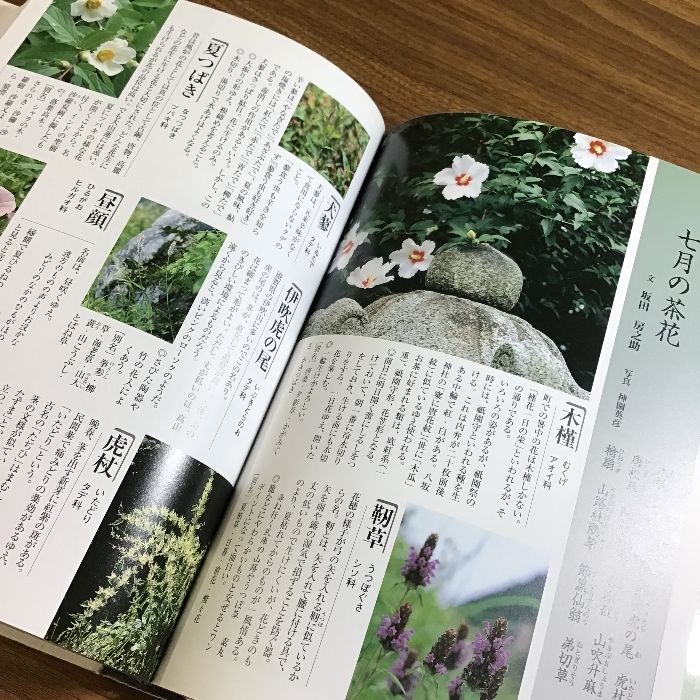 四季折おり 茶の湯ごよみ 宗室 |本 通販 茶の湯ごよみ―風炉の