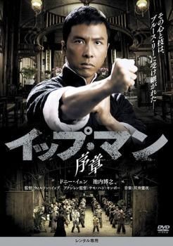 自然な イップ マン 11巻セット レンタル落ち DVD