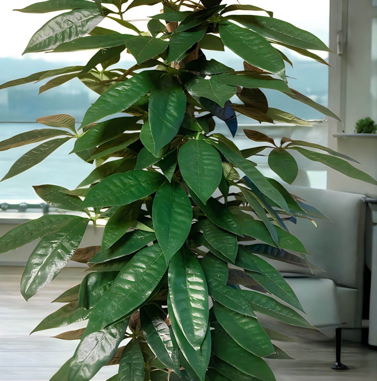 光触媒 人工観葉植物 ウォールグリーン フェイクグリーン オリーブ