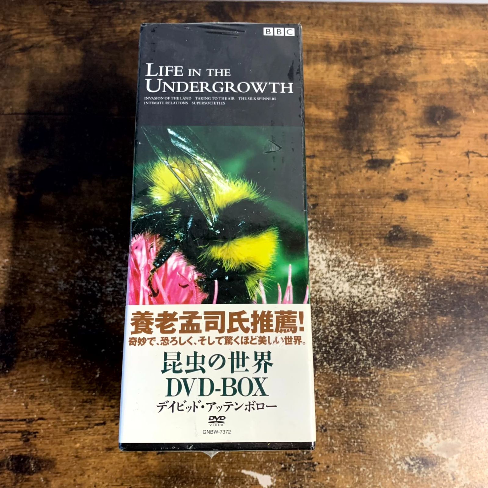 BBC ライフ・イン・ザ・アンダーグロウス/昆虫の世界 DVD-BOX