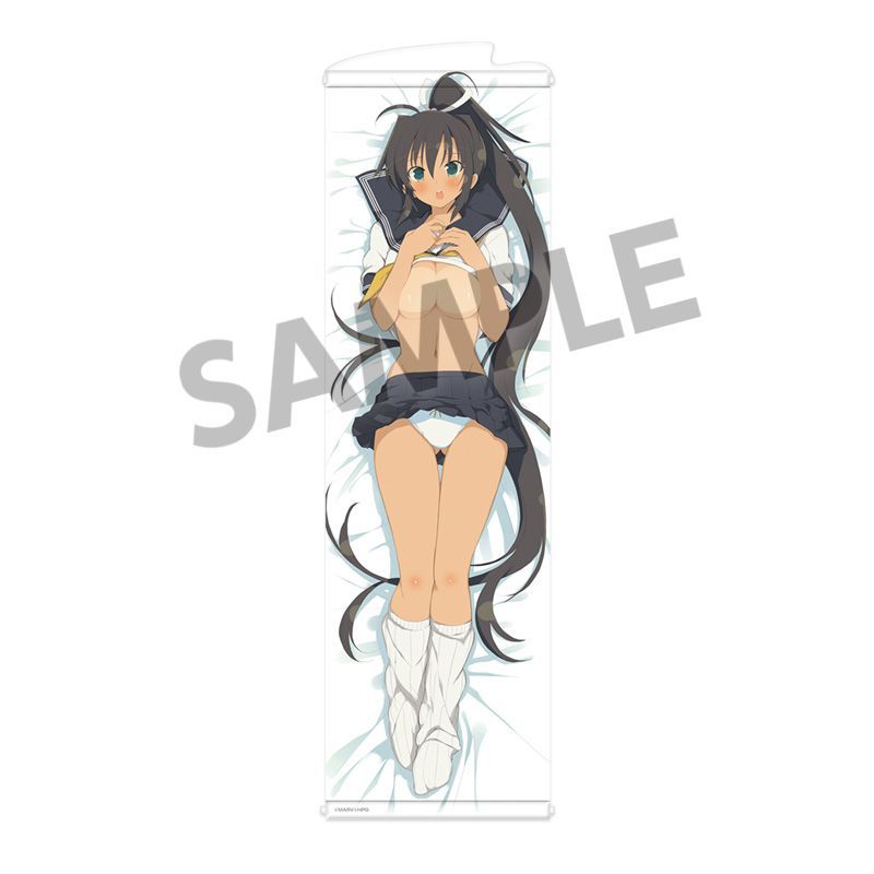 【新品・公式】閃乱カグラ スリムタペストリー vol.2 焔A 公式グッズ colleize コレイズ
