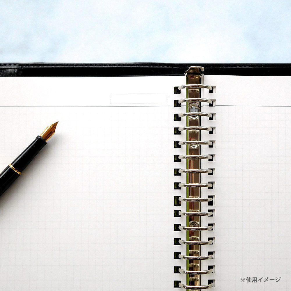 数量 B 5 ルーズリーフ ジウリス 方眼 mm マルマン HL 207