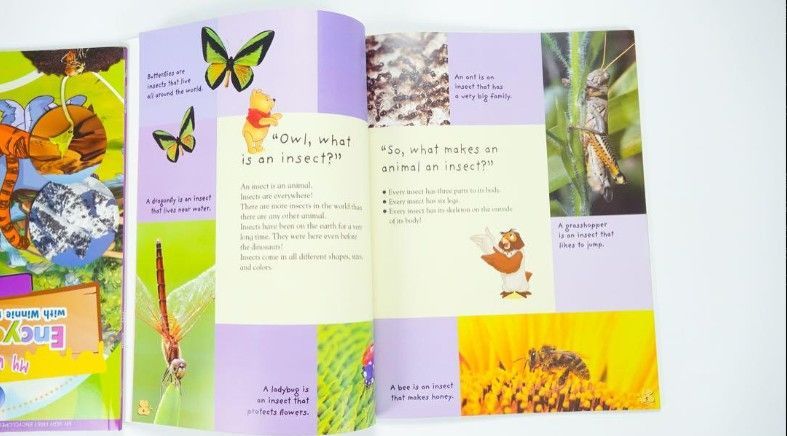 新品】ディズニー 英語絵本 百科事典 15冊 マイヤペン対応 