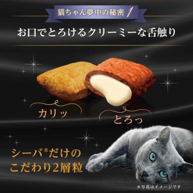 サバトラ