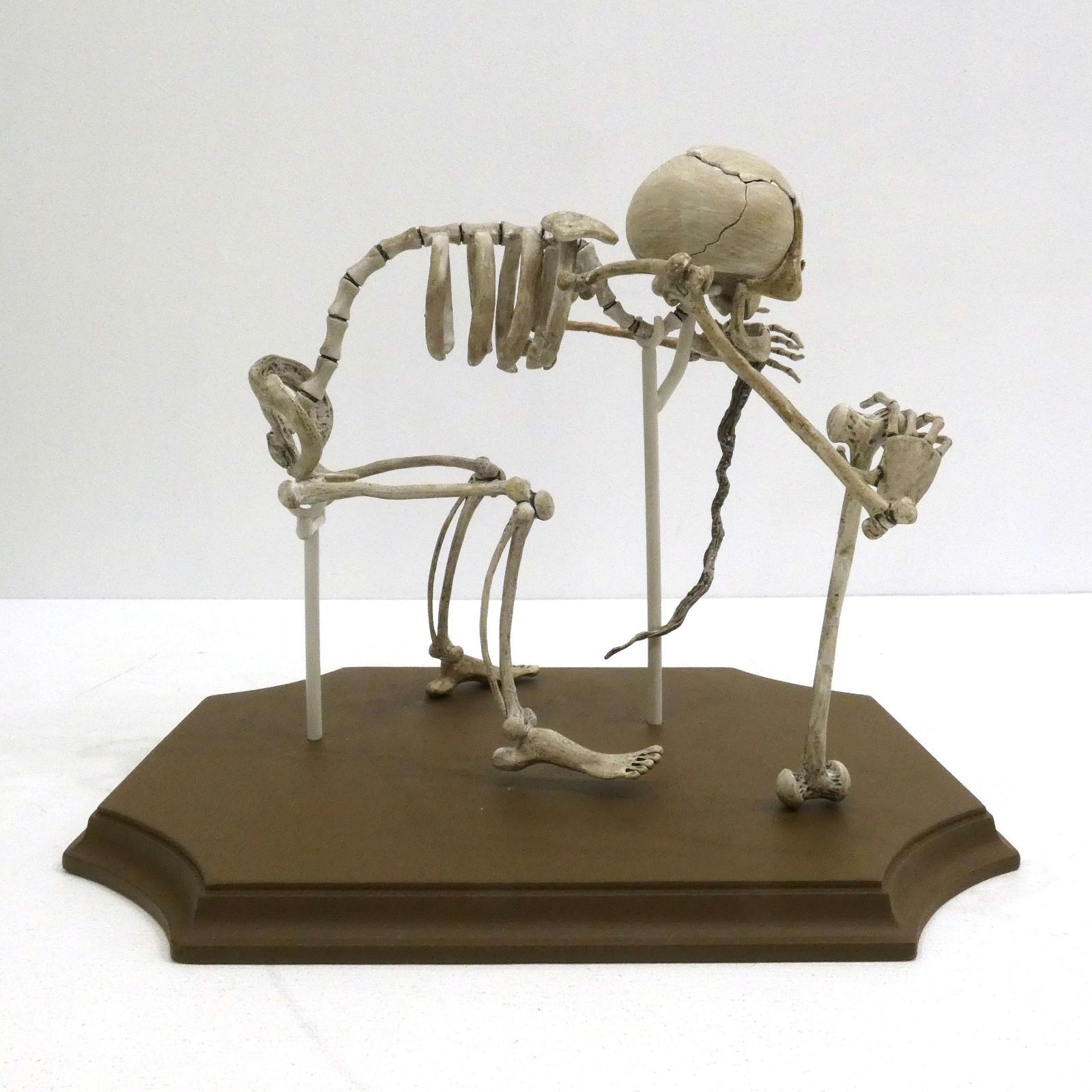 ティム・バートン コープスブライド フィギュア ティム・バートンのコープスブライド ☆ エミリー フィギュア A