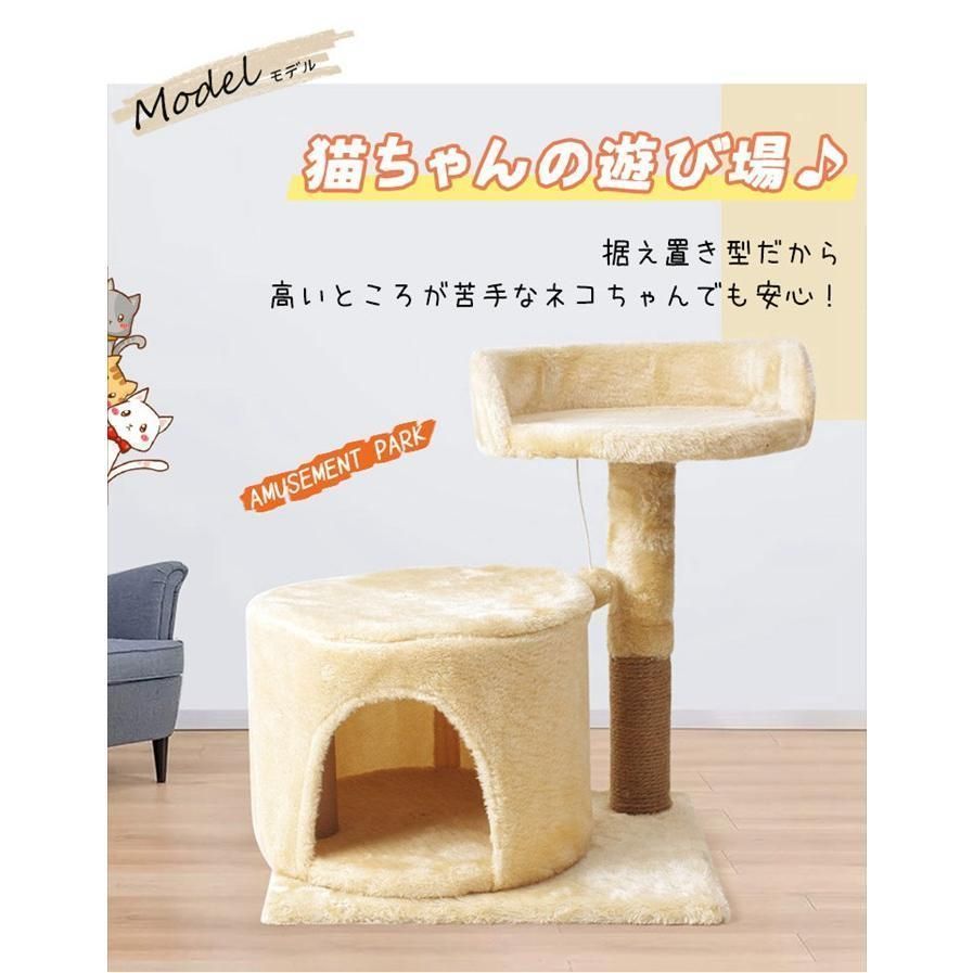 コンパクト シニア