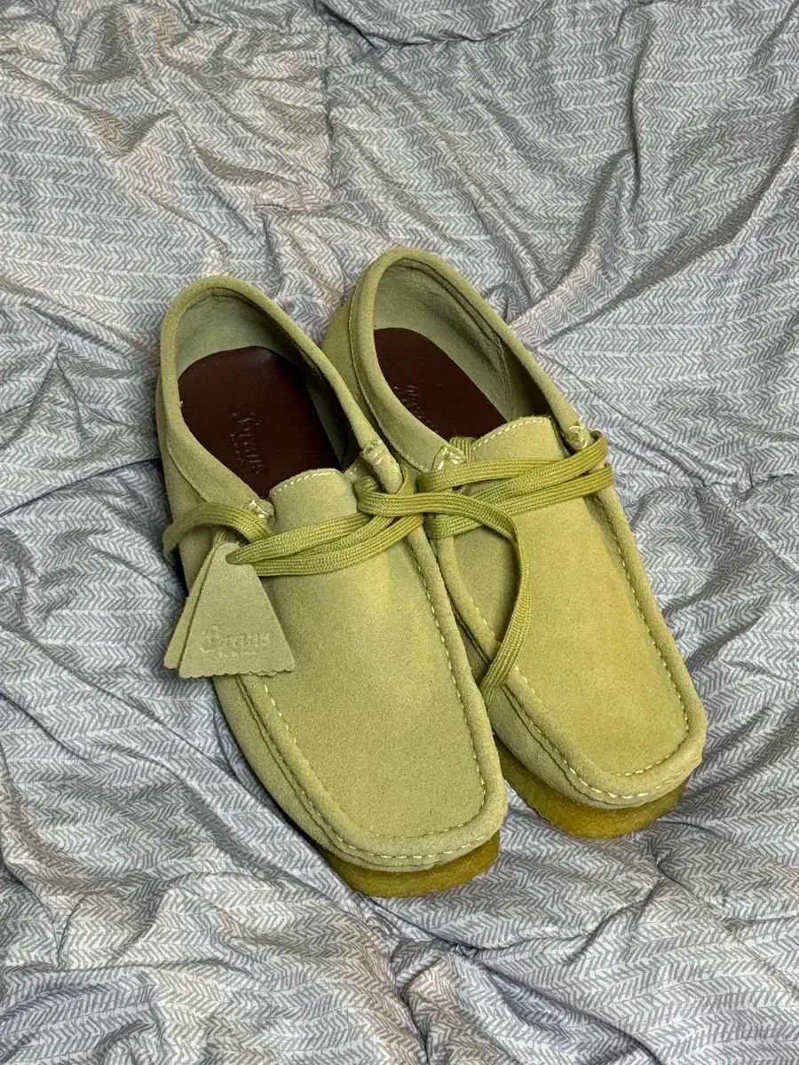 BRANS シティボーイ サンド ワラビーフレーバー