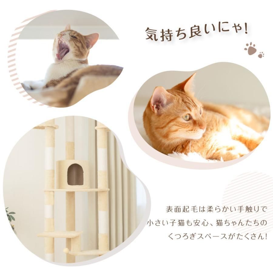 おしゃれ