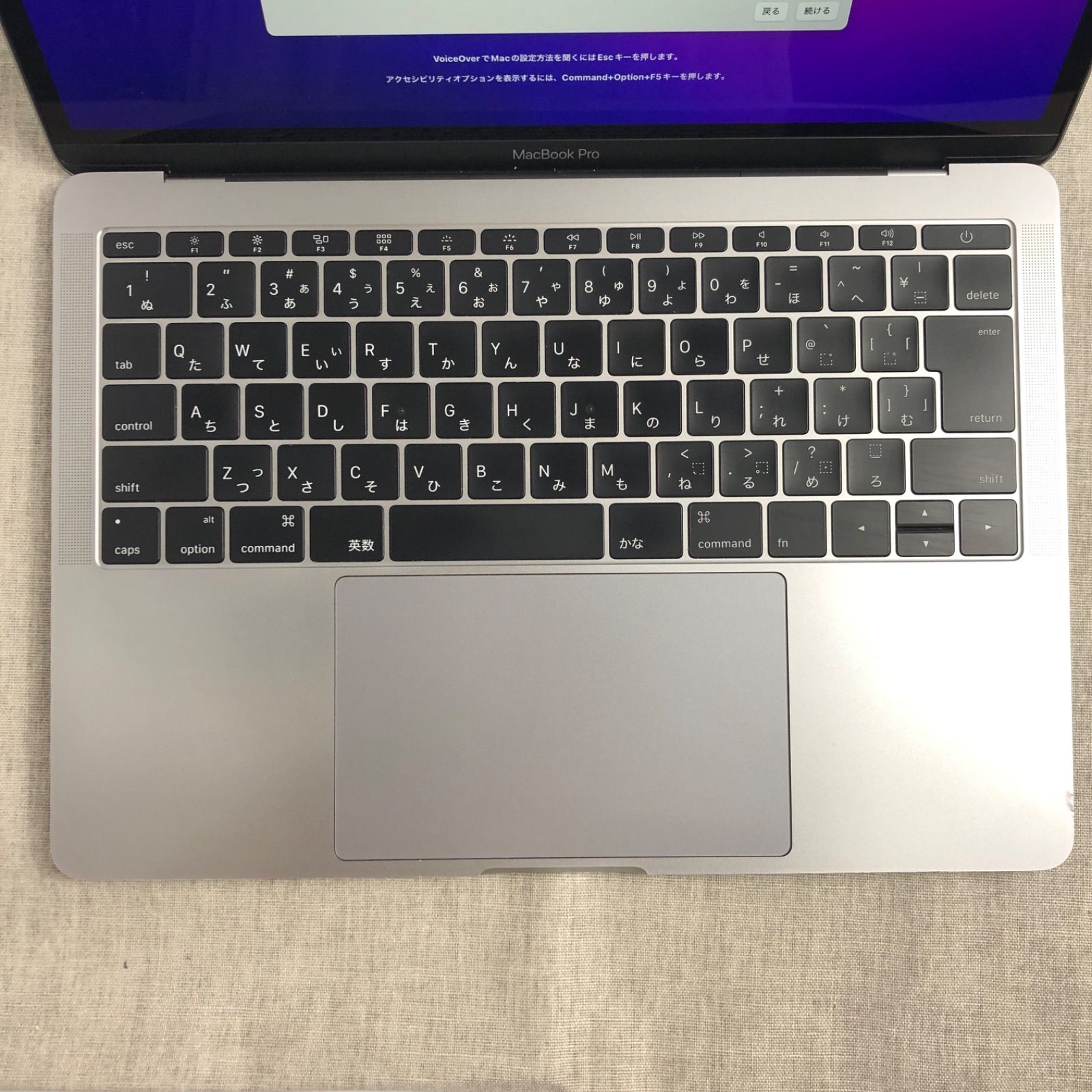 Apple MacBook Pro Late 2016 13インチ / i5 16GB 250GB【OSリカバリー