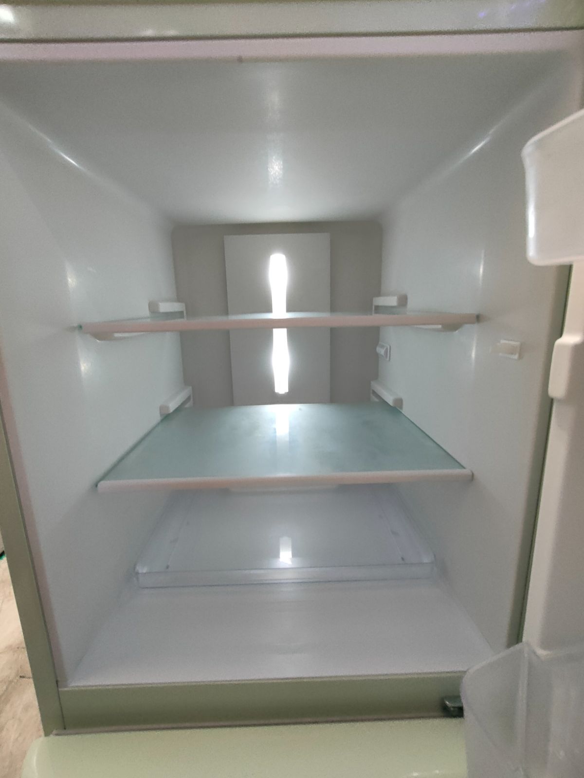 新品 BOTANIZE ボタナイズ ジャーナルスタンダードファニチャー マット