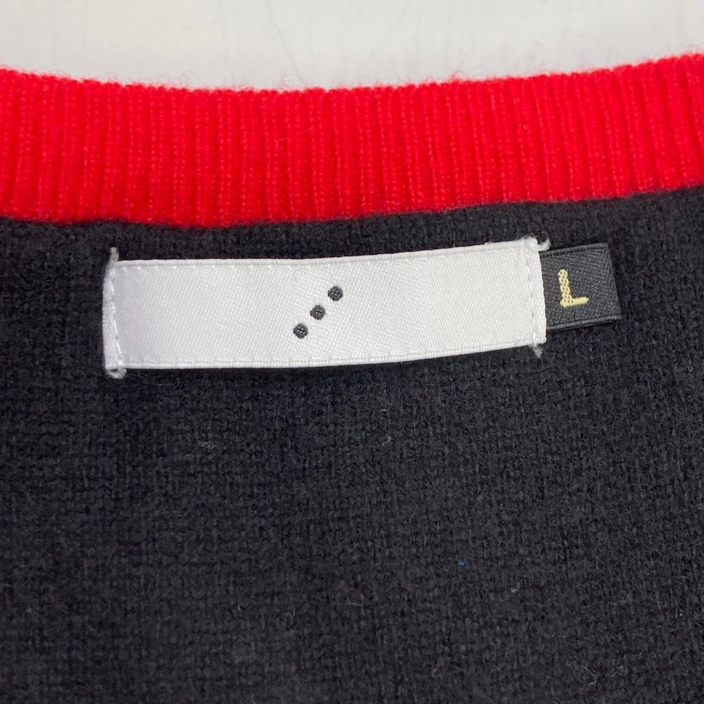 サイズ：L ROUGH&SWELL ラフアンドスウェル カシミヤ Vネック ニット