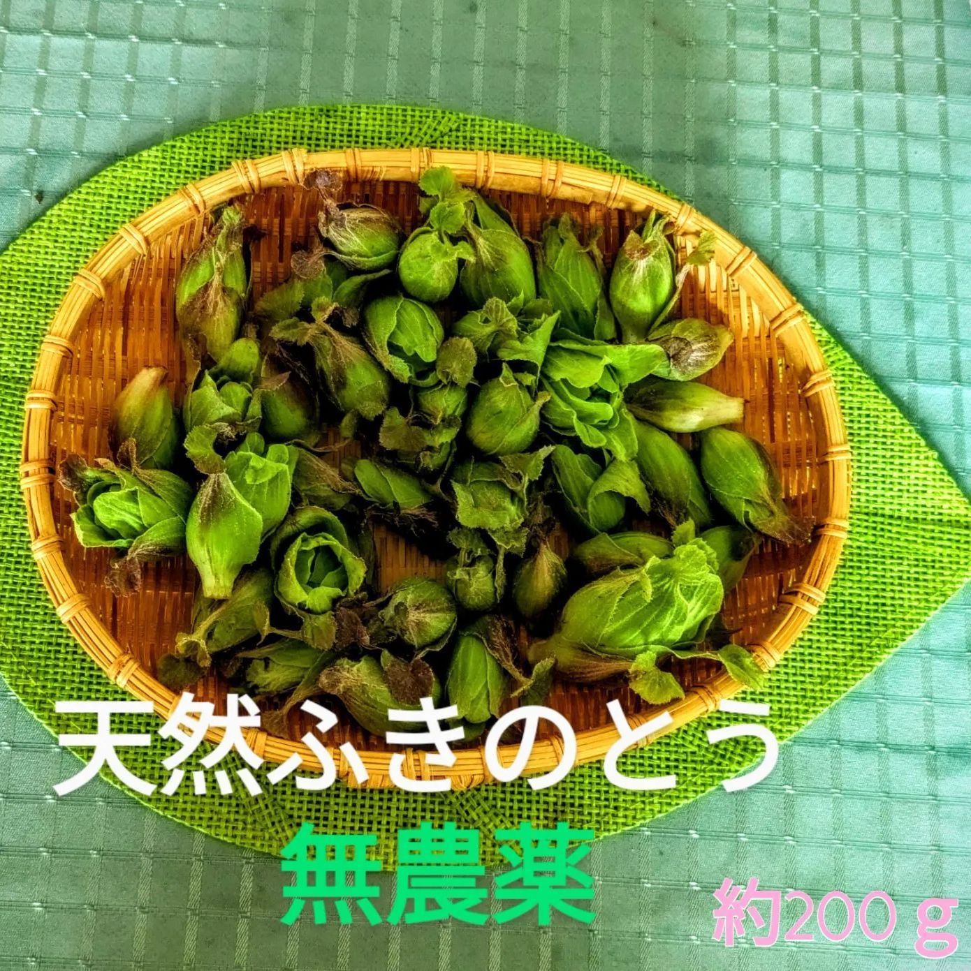 秋田県産 天然 ふきのとう - 野菜