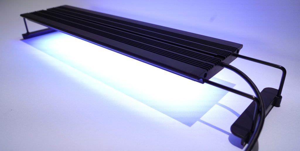 アウトレット品