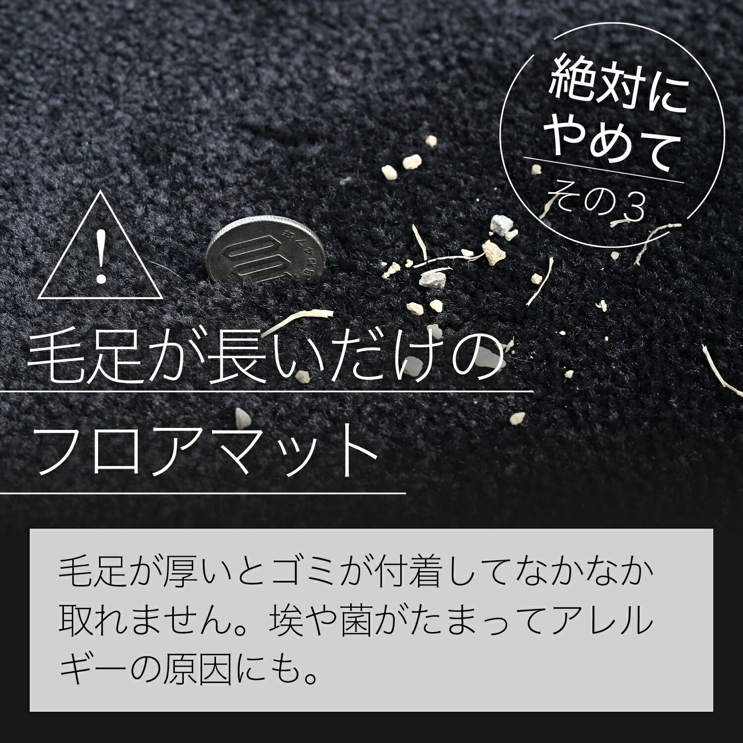 シード様専用 ポーランド軍 2枚セット MILITARY 実物 USED