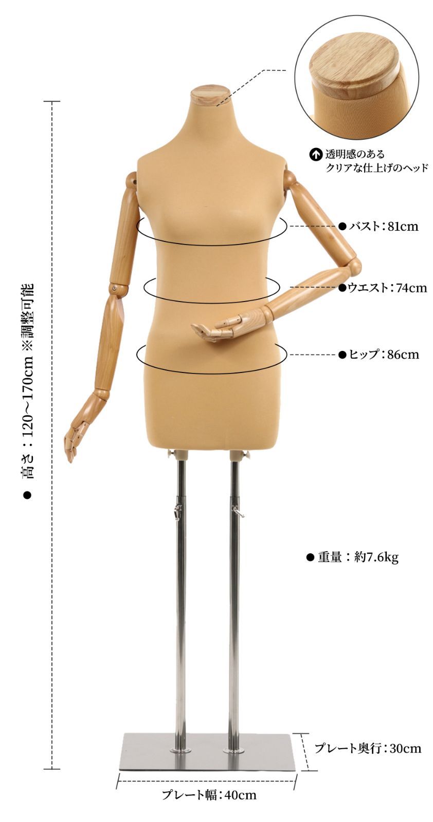 トルソー ボディ