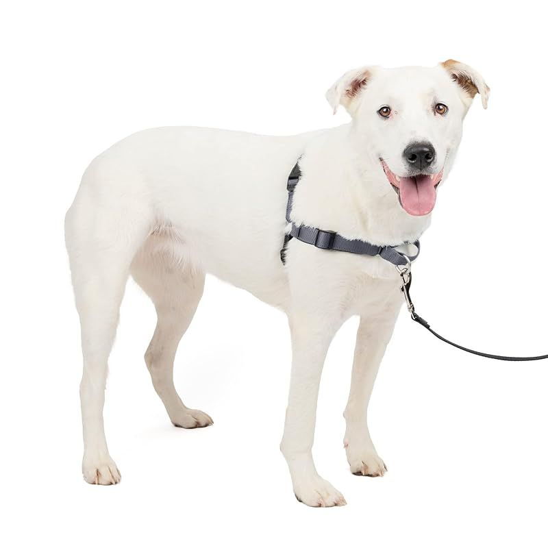 PetSafe ペットセーフ 犬用 ハーネス デラックスイージーウォークハーネス M L スチールシルバー|ブラック 引っ張り防止 散歩 トレーニング 0