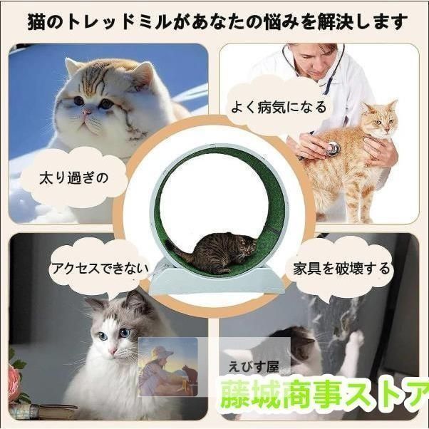 回し車