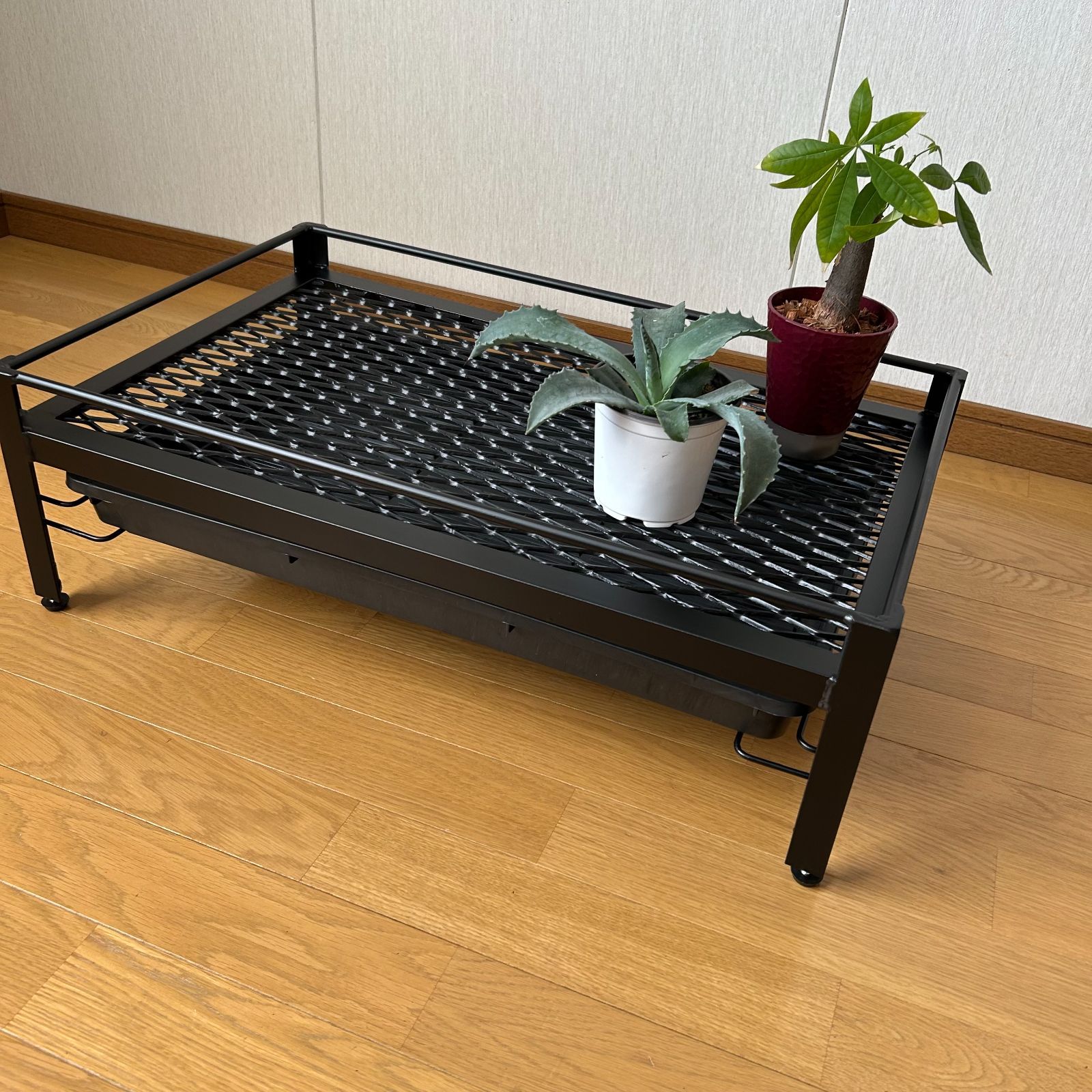 6号鉢　給水皿　メッシュシェルフ　プランタラック　アガペ　ボタニカル 6号鉢 給水皿 メッシュシェルフ プランタラック アガペ ボタニカル