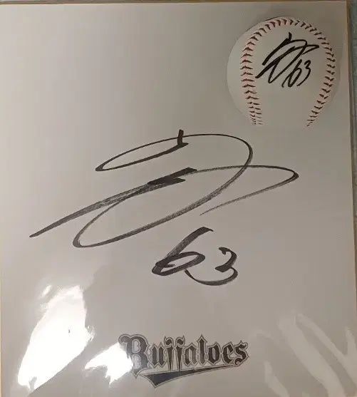 オリックス バッファローズ やまざき 宗一郎 サイン
