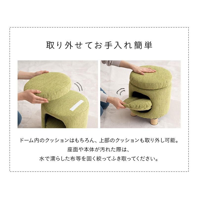 ネコ
