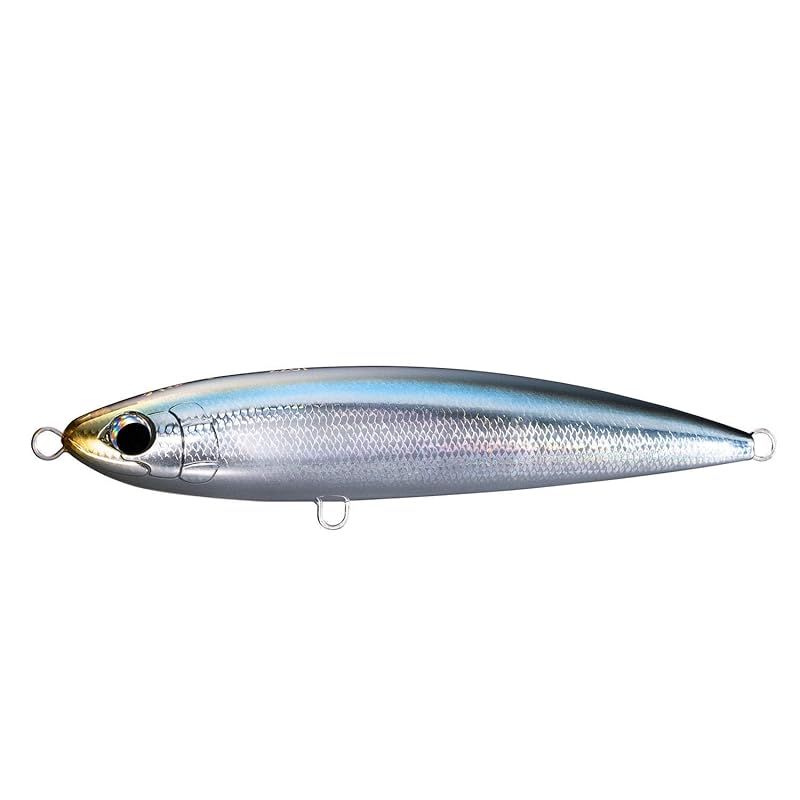 シマノ(SHIMANO) ルアー オシア 別注平政 220F OT-022L 006 キョウリンカタクチ 0