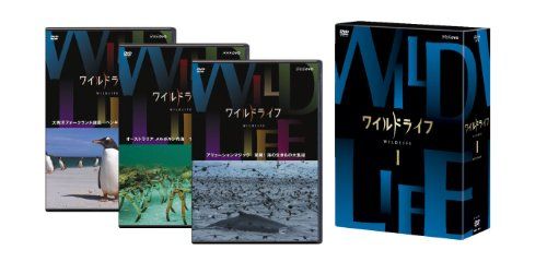 ワイルドライフ DVD-BOXI - メルカリ