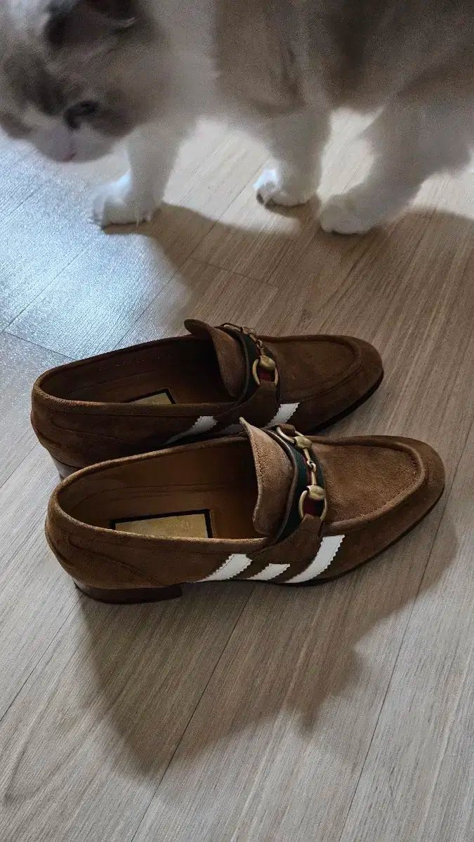 ホースビット ローファー