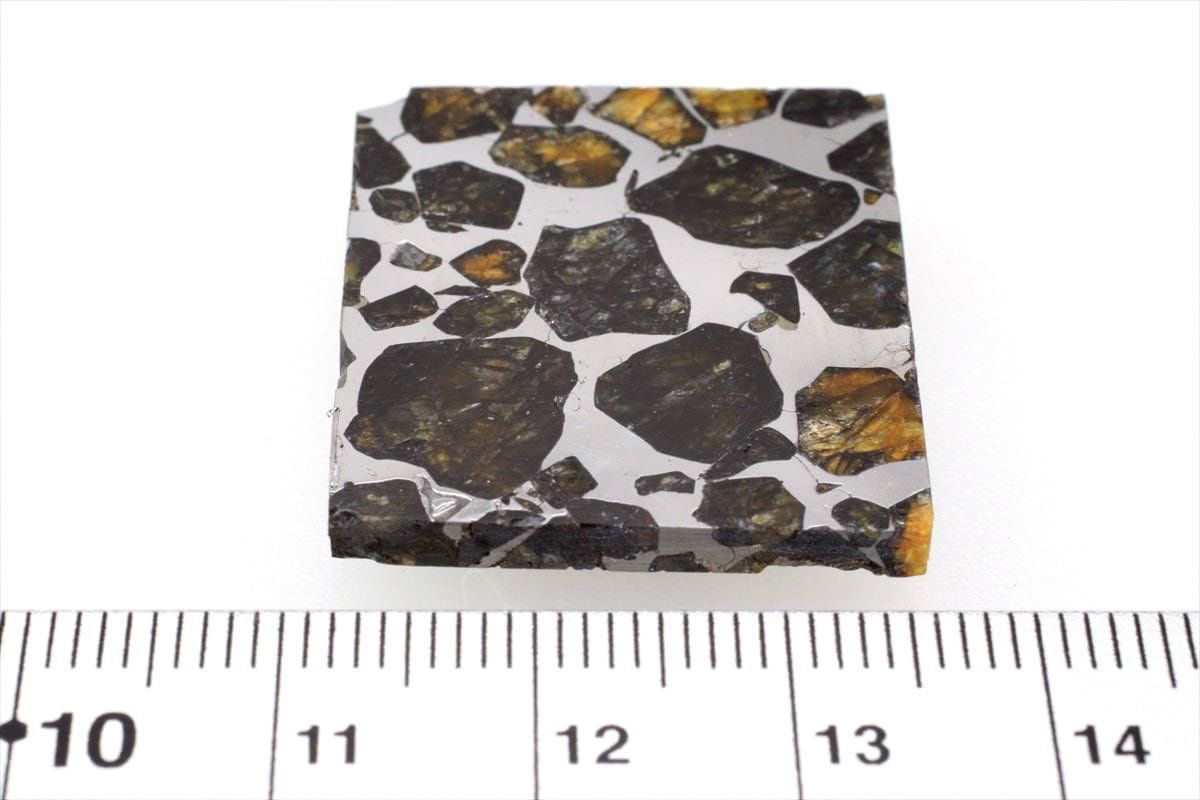 セイムチャン 8.9g スライス カット 標本 石鉄 隕石 パラサイト