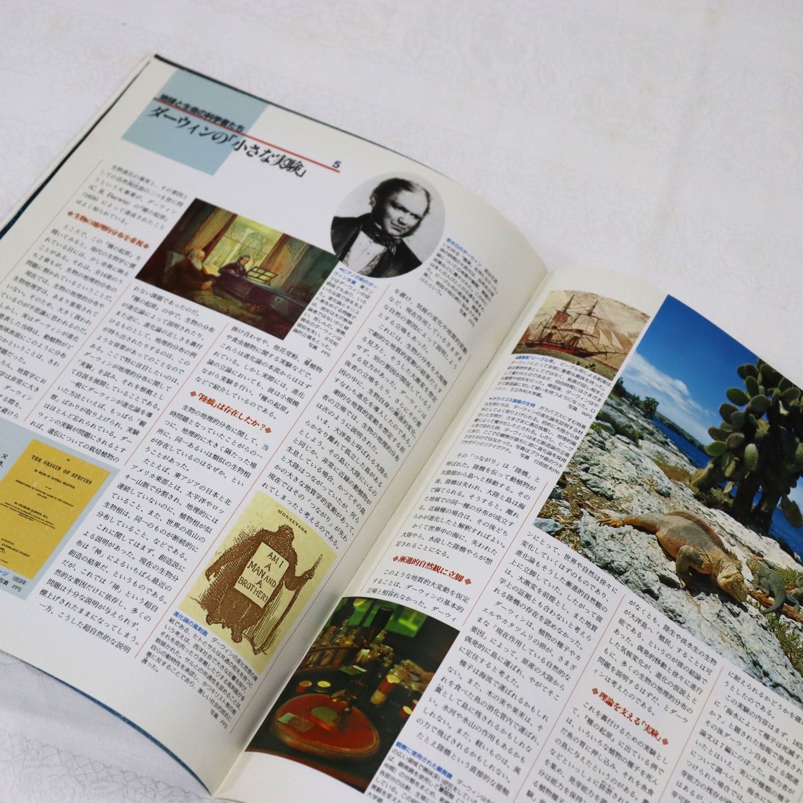 朝日百科 動物たちの地球 朝日新聞社 Amazon.co.jp: 週刊朝日百科 動物たちの地球 全144冊セット : 本