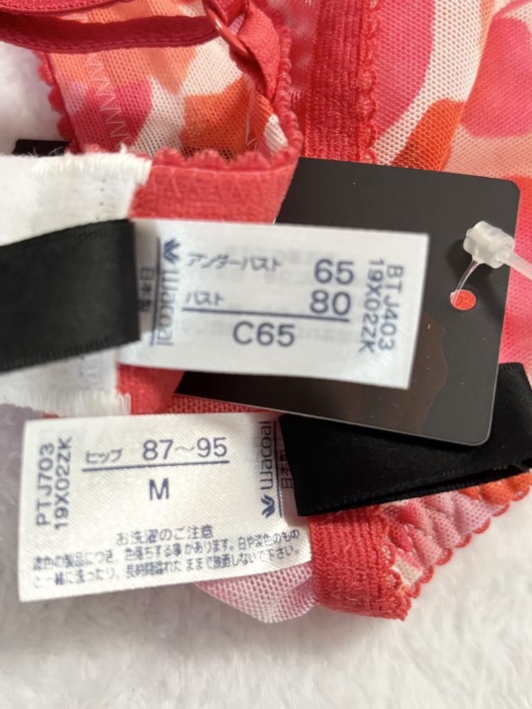 C75M ワコール サルート 03G ラテンミュージック ブラ＆ショーツ Wacoal - C75M ワコール サルート 03G ラテンミュージック ブラ