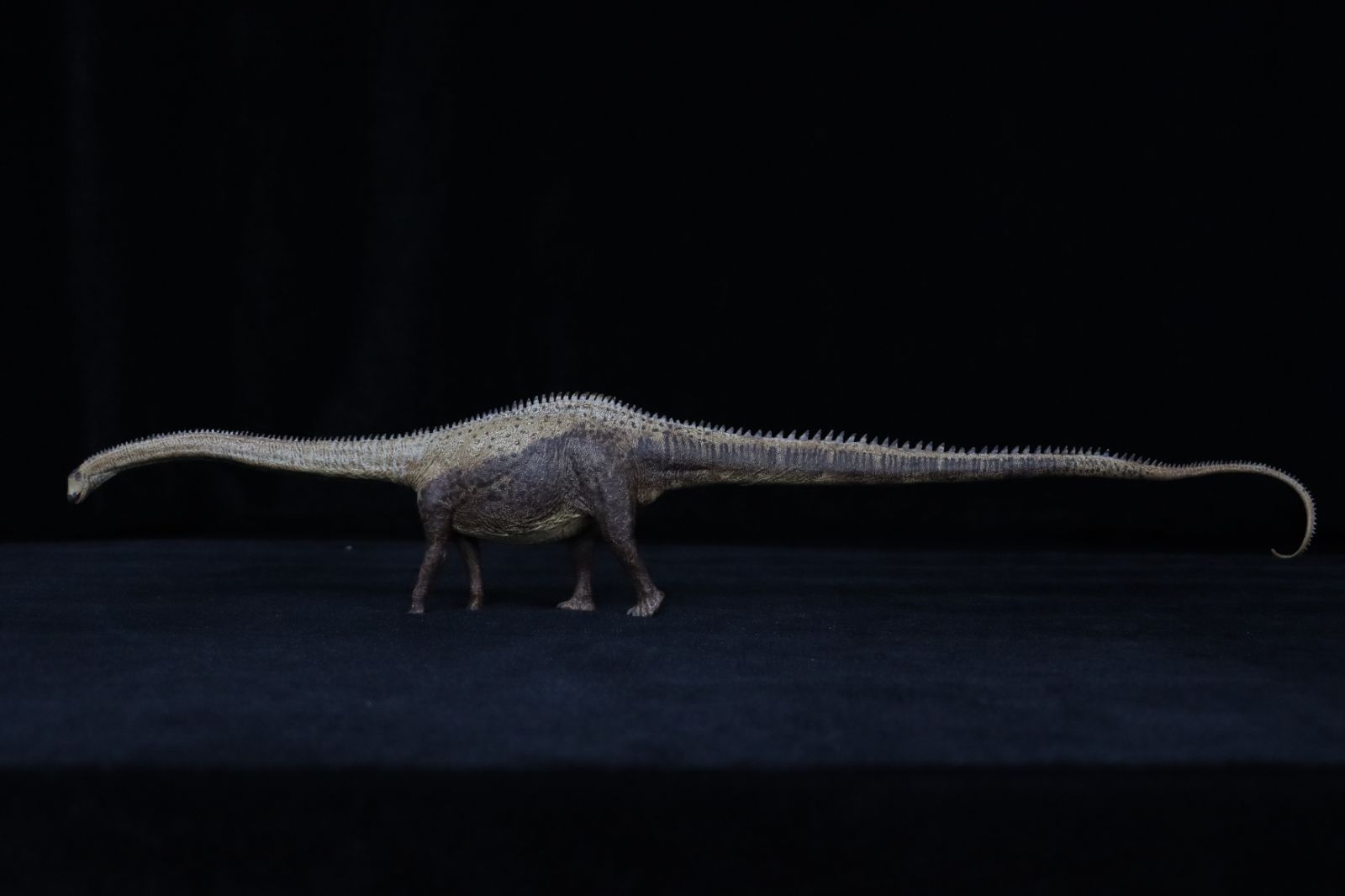 Eofauna 1/40 サイズ ディプロドクス 梁竜 大きい 竜脚類 草食性