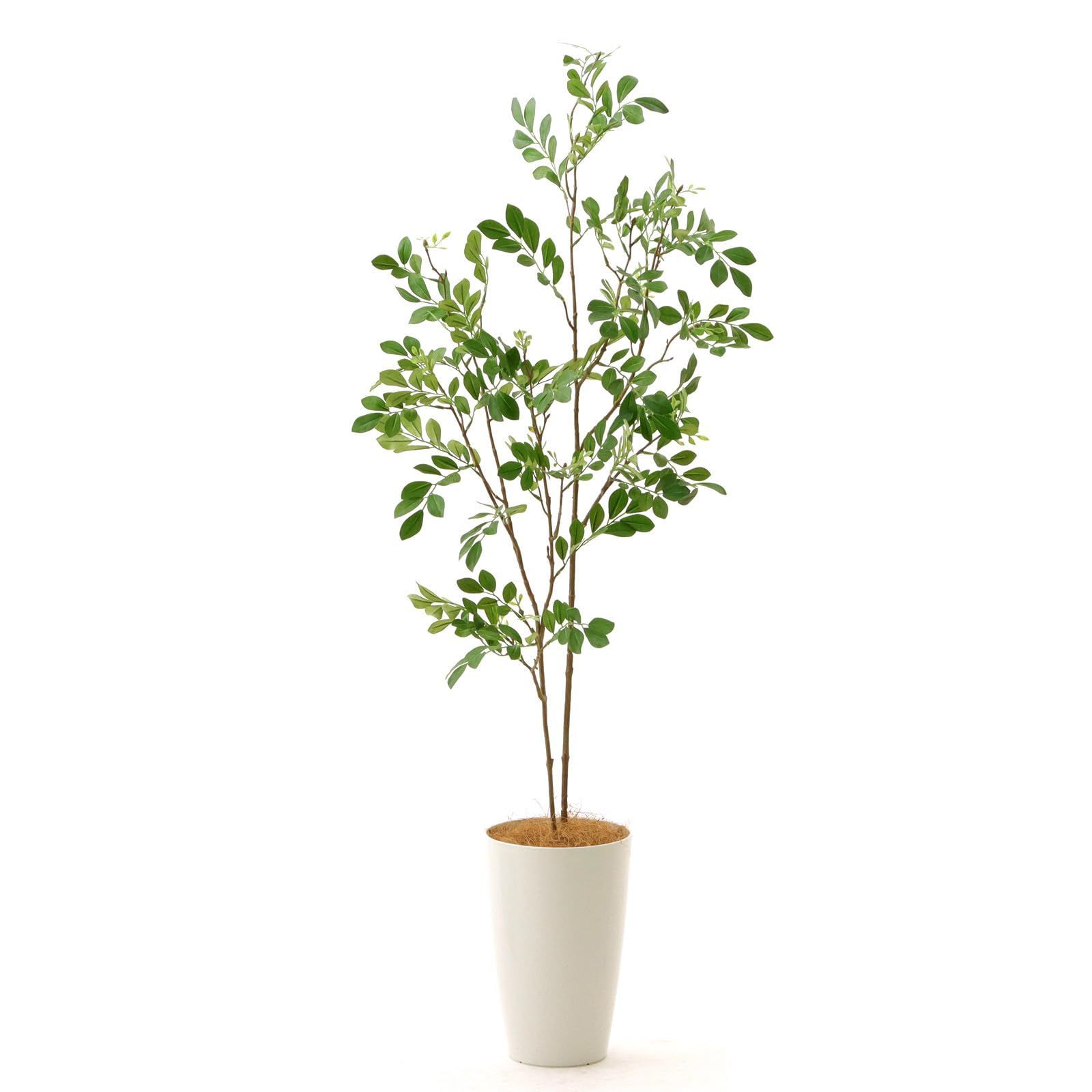 公式 造花ドットコム 日本 製造 光触媒フェイクグリーン シマトネリコ 高さ110cm 幅40cm 奥行40cm