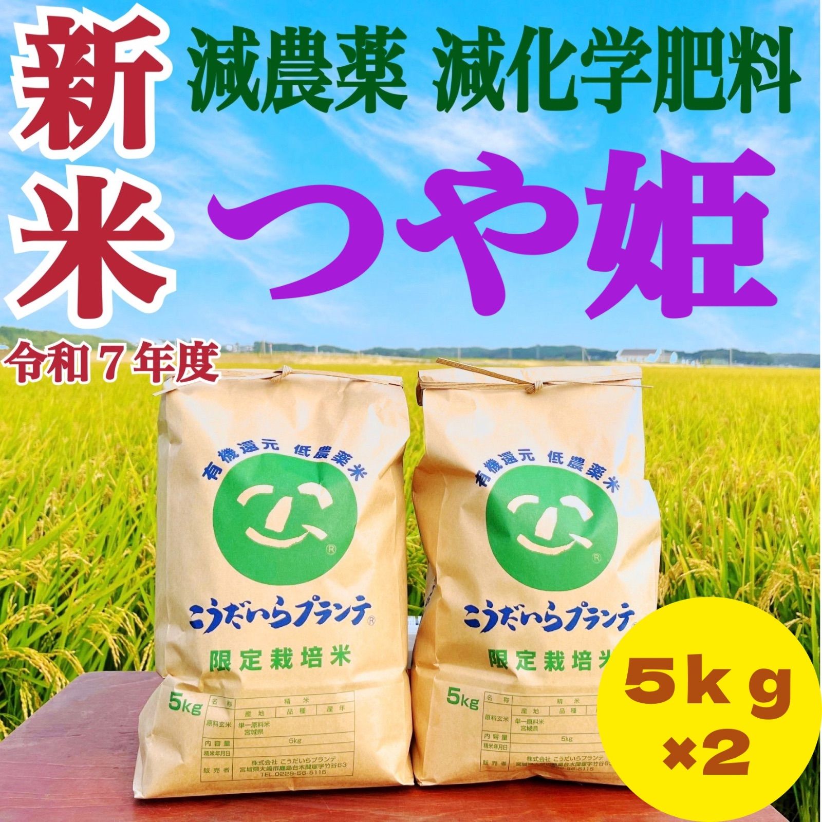 新米 令和７年度 農家直送 減農薬 つや姫５ｋｇ×２
