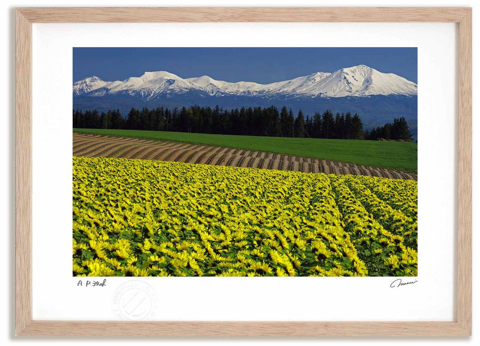 写真集 発掘カラー写真昭和30年 代 乗り物のある風景 2冊 美 写真集