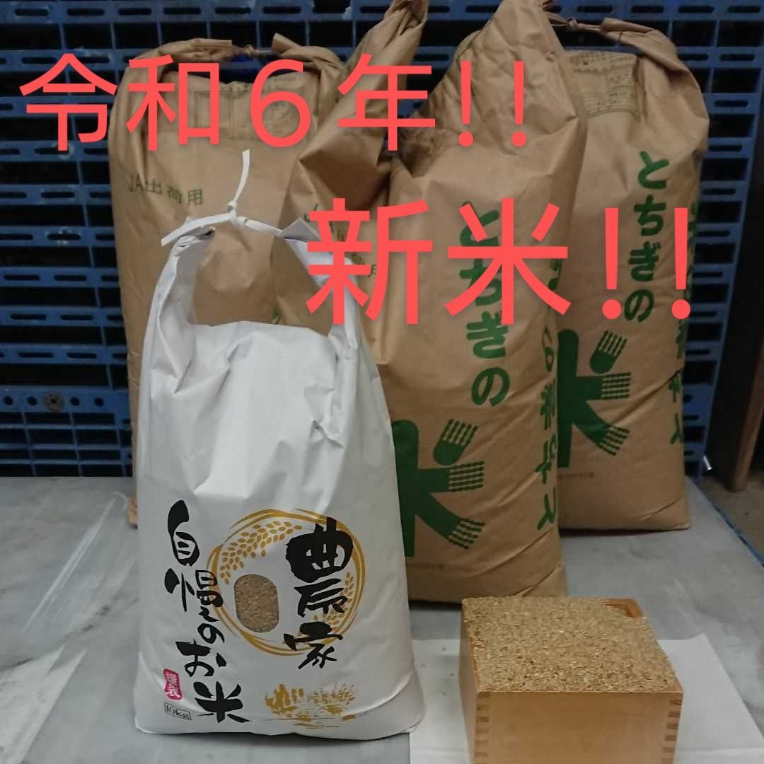 令和6年 新米 ! 精米無料！栃木県大田原市 黒羽産コシヒカリ 玄米20kg 20キロ - メルカリ