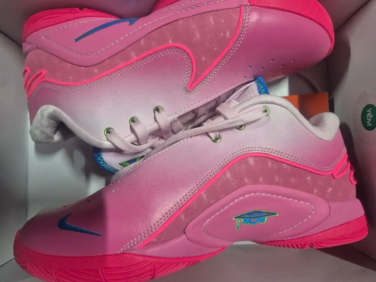NIKE ナイキ レブロン XXII SN EP ピンク 270 mm バスケシューズ