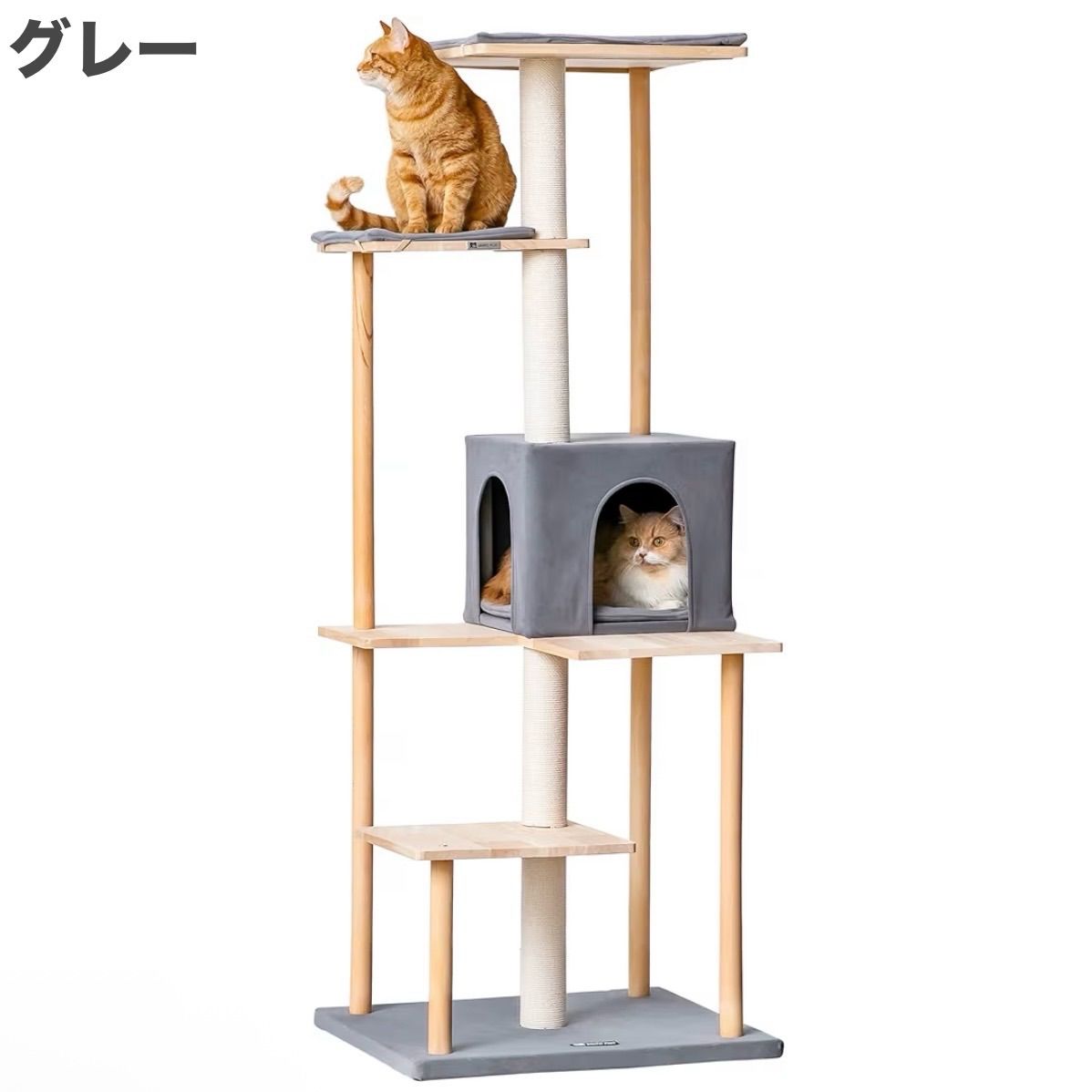 大型猫 多頭飼い