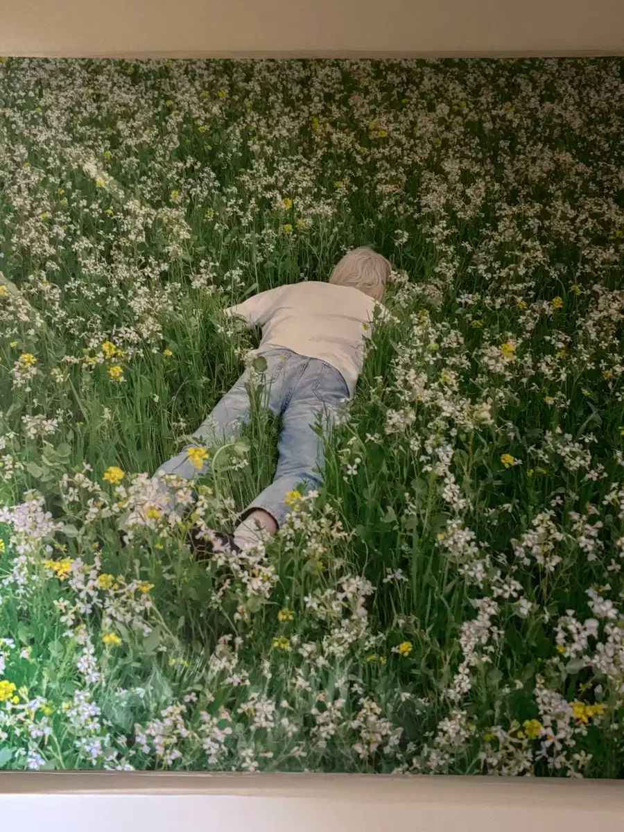 Porter Robinson ポッター ロビンソン Nurture LP ヴァイナル ビニールレコード