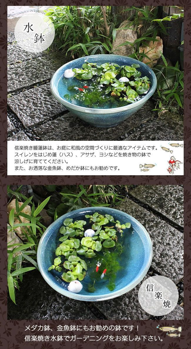 信楽焼 陶器 水鉢 メダカ鉢 金魚鉢 睡蓮鉢 16号ブルーガラス水鉢 su
