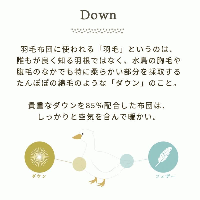 シングルロング ダウン85％