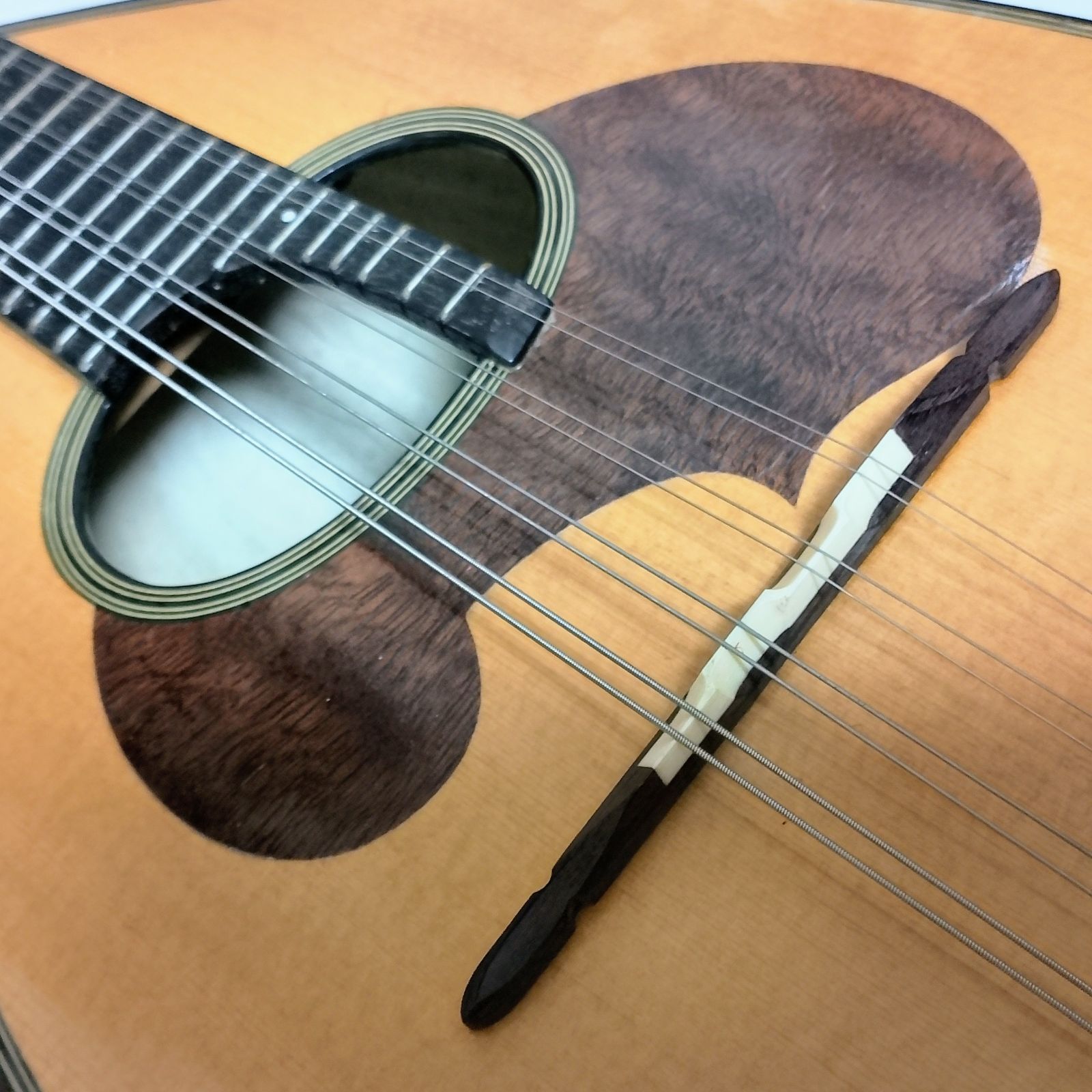 春夏新作モデル SUZUKI メルカリ - マンドリン M50 VIOLIN 弦楽器