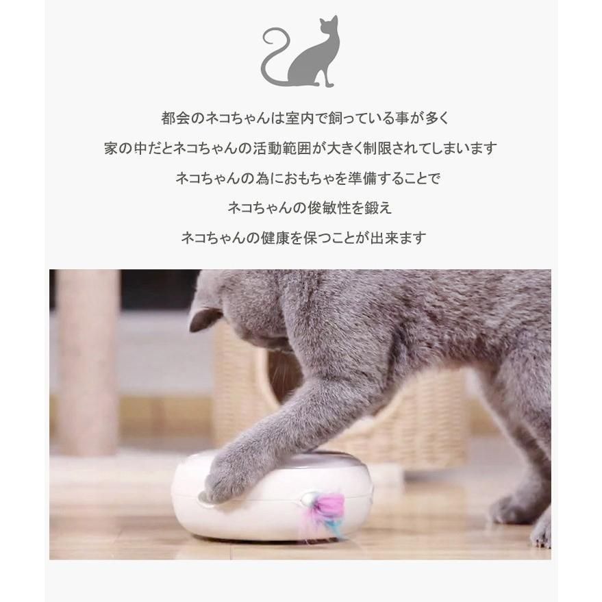 猫 おもちゃ