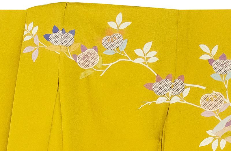 希少樹形・パキラ・ミルキーウェイ＆ムーンライト｜パラソル仕立て A3