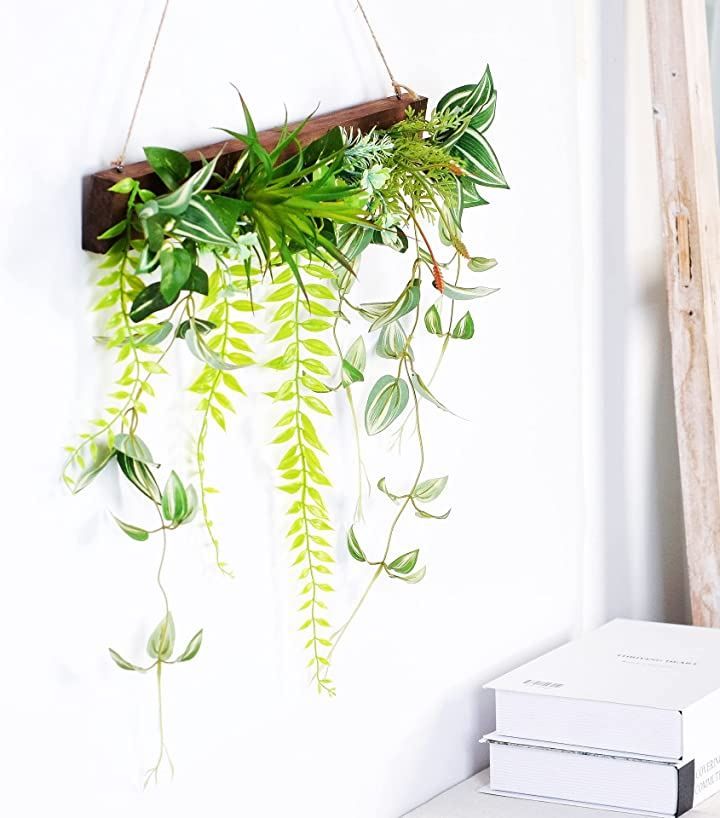 観葉植物 ウォールグリーン