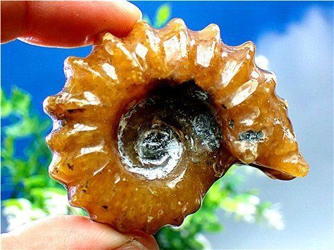 ★貴重－アンモナイト縫合線オパール化石標本クラスターB85U3/95U93A ☆貴重－アンモナイト縫合線オパール化石標本クラスターB85U3