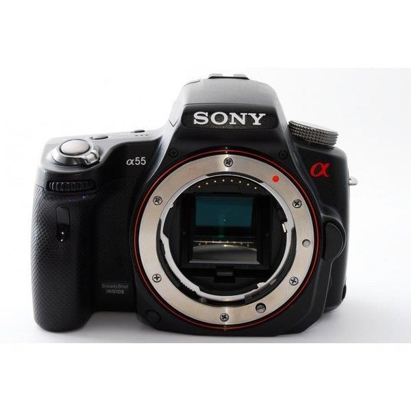 ソニー SONY α55 SLT-A55 標準&望遠ダブルズームセット 美品 SDカードストラップ付き - メルカリ